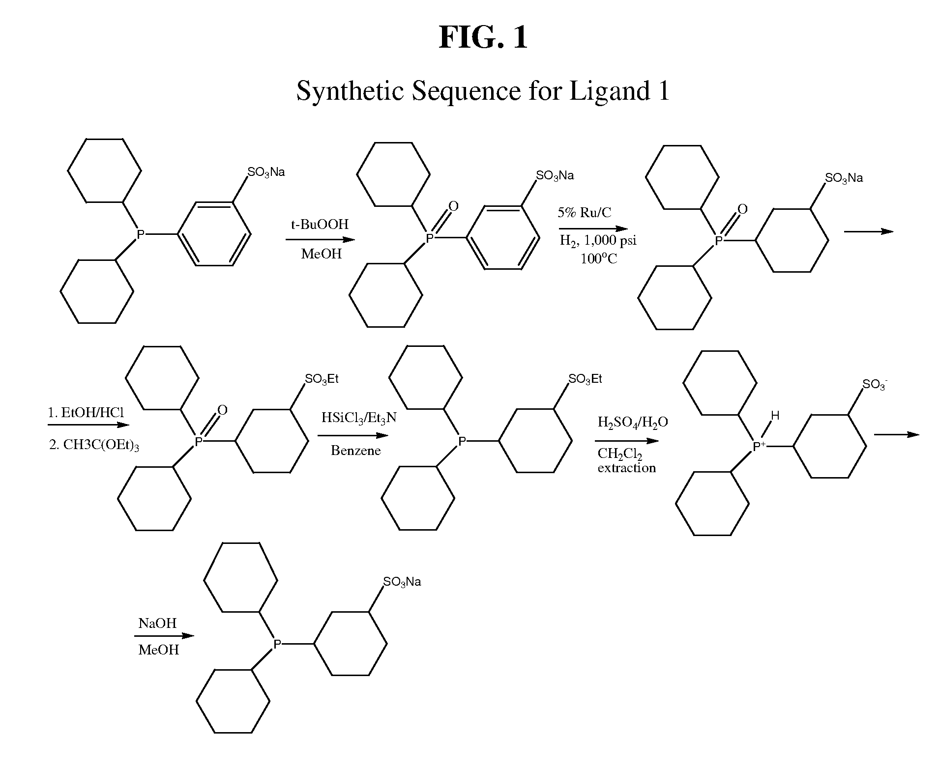 Sulfonated organophosphine compounds and use thereof in hydroformylation processes