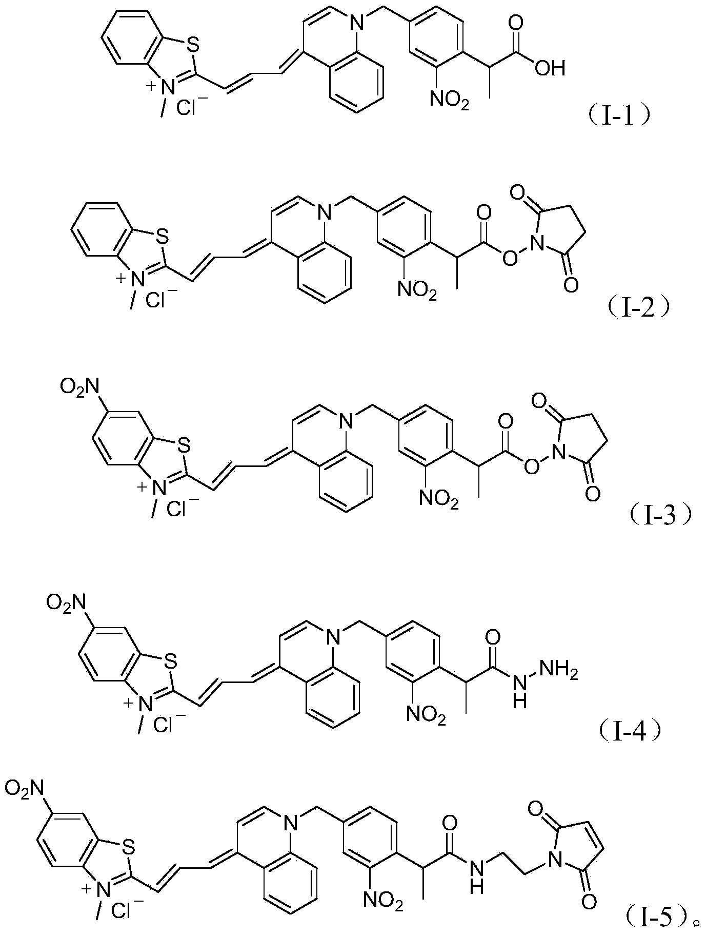 Asymmetric cyanine dye compound and application thereof