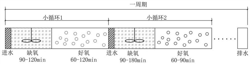 Method and device for realizing advanced nitrogen and phosphorus removal of low-carbon-nitrogen-ratio domestic sewage by adopting step-feed double-short-range anaerobic ammonia oxidation process