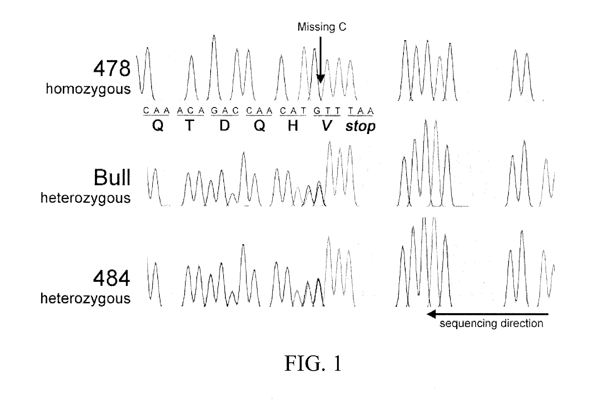 Materials and Methods for Producing Animals With Short Hair