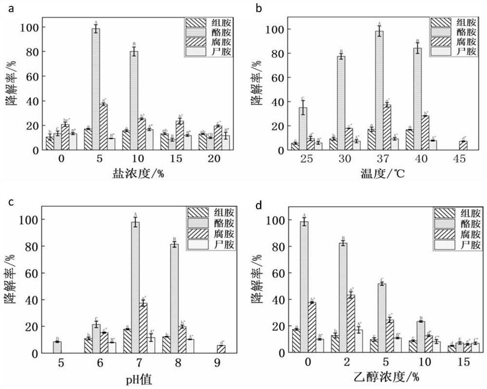 Biogenic amine degrading bacterium for improving poor fermented flavor of shrimp paste and application thereof