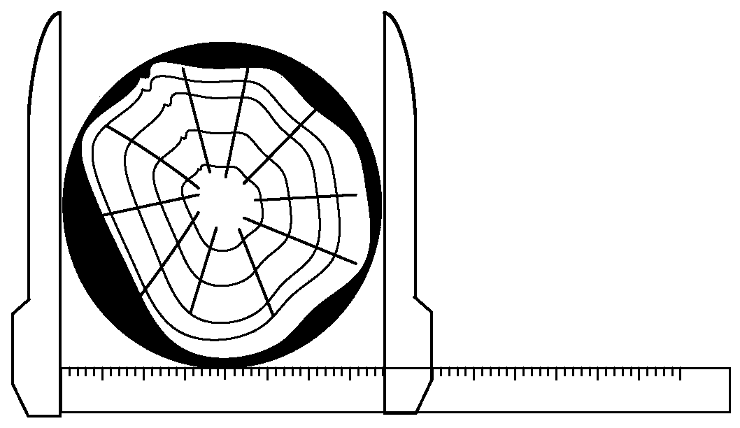 A Diameter Measuring Device Based on Scissors