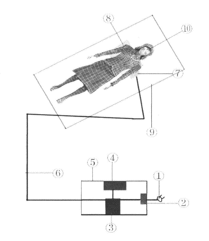 Method and device for treating pneumonia with ultrasonic wave