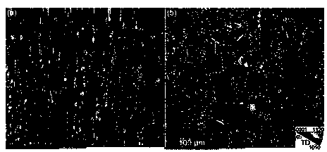 Preparation method for gamma-TiAl alloy fine fully lamellar microstructure with preferred oriented lamellar interface