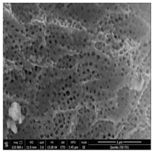 Copper-nickel loaded TiO2 nanotube array electrode for reducing nitrate nitrogen in water