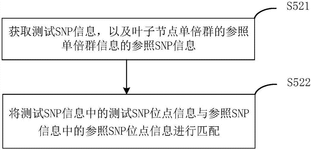 Y haplogroup detection method