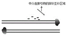 C-KIT gene multipoint mutation single tube fast detection method and kit