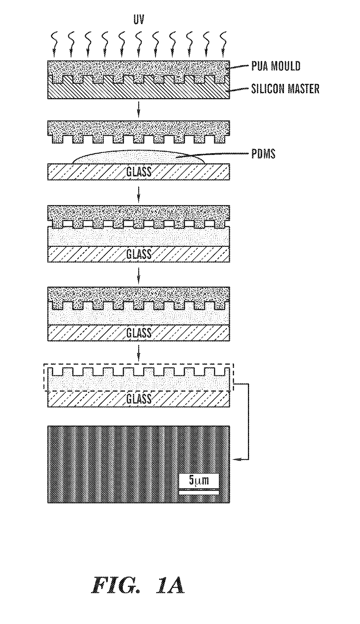 Micro- and nanopatterned substrates for cell migration and uses thereof