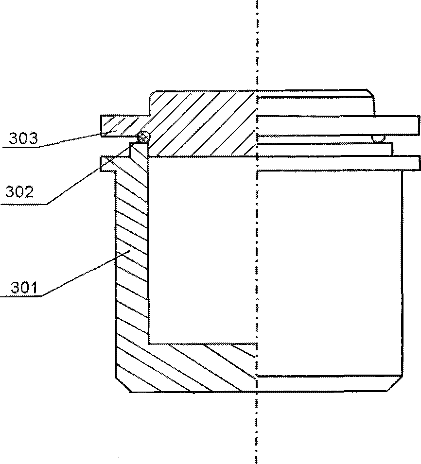 System for quantificationally collecting trace gas in rock group inclusion and use method thereof