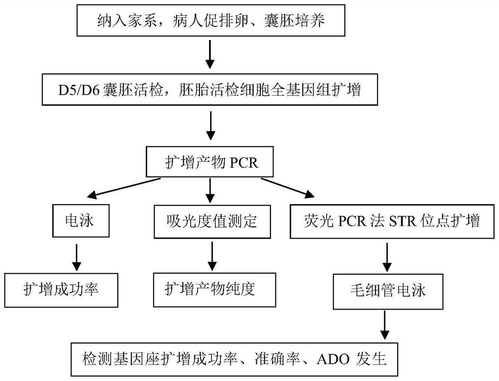 A method for simultaneous identification of embryonic chromosomal structural abnormalities and disease-causing gene carrier status