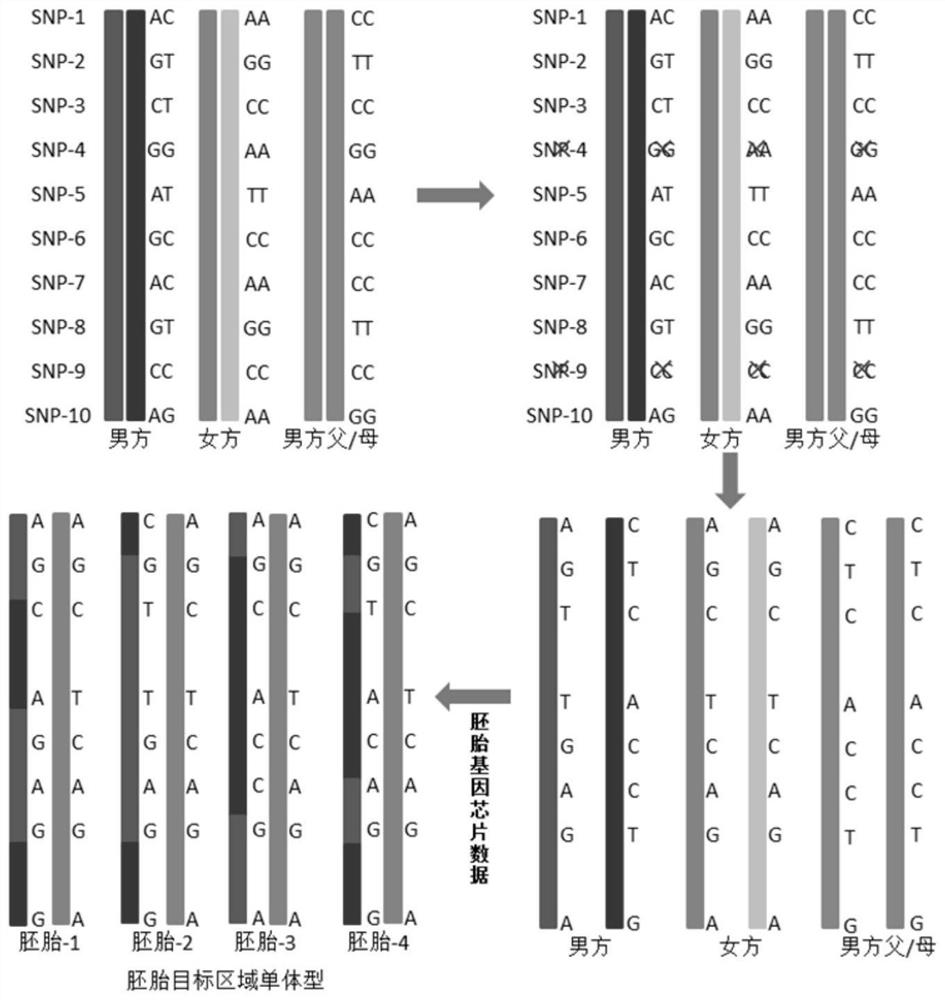 A method for simultaneous identification of embryonic chromosomal structural abnormalities and disease-causing gene carrier status