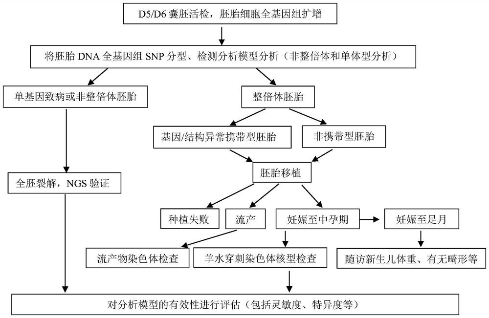 A method for simultaneous identification of embryonic chromosomal structural abnormalities and disease-causing gene carrier status