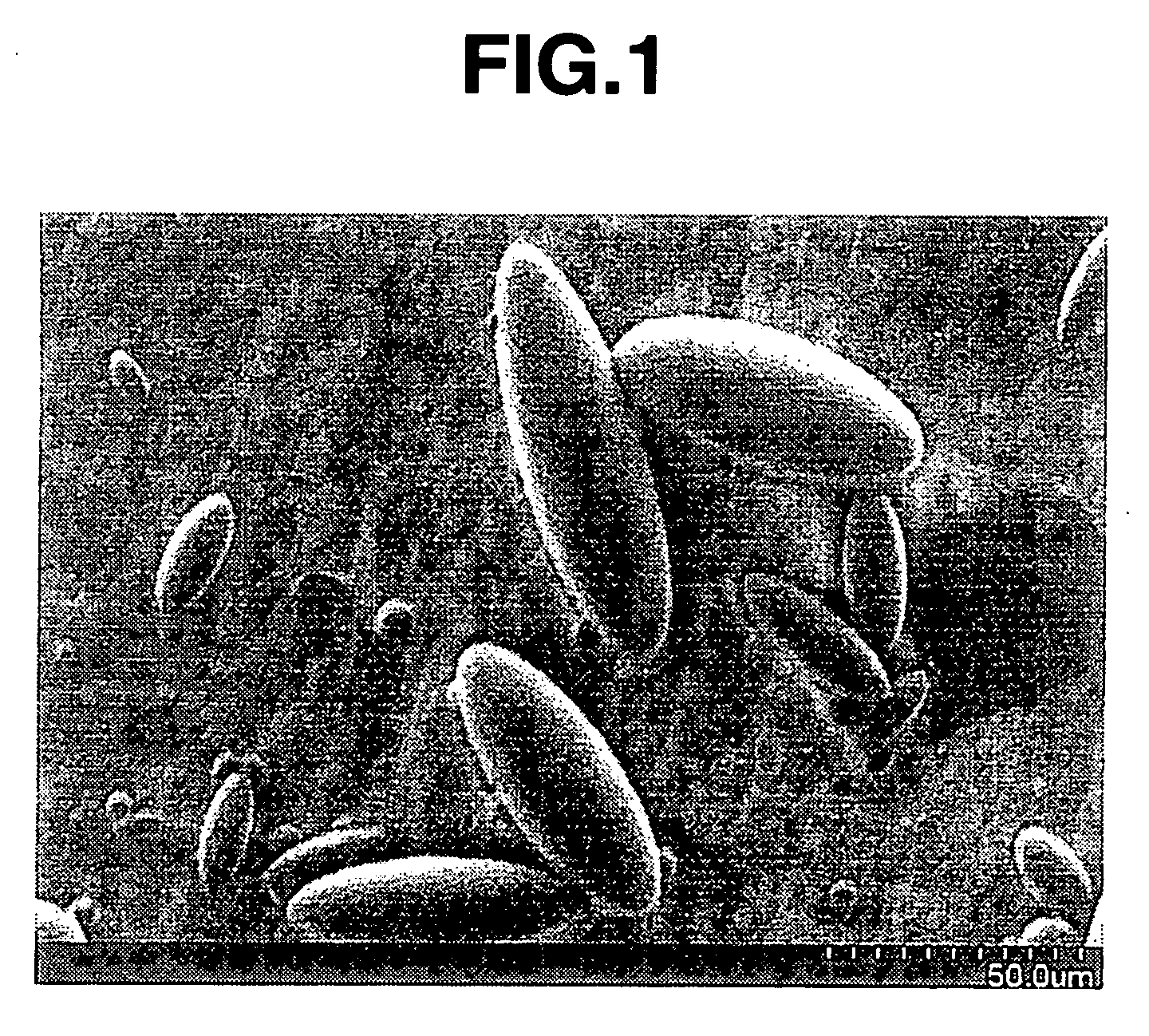 Oval-spherical organic polymer particle and process for producing the same