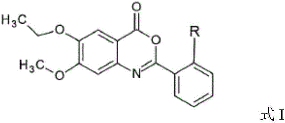 Benzoxazinone derivatives for treatment of skin diseases