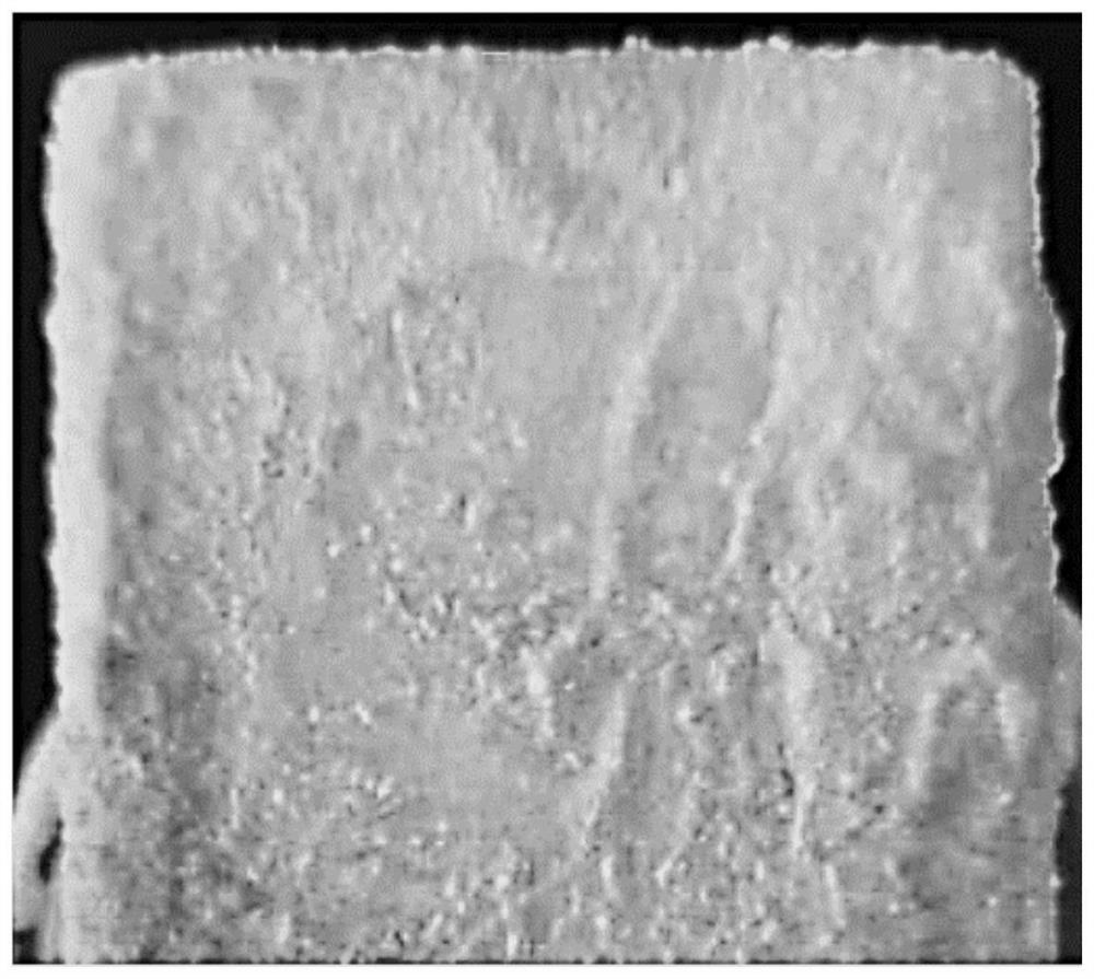 Adhesive for casting and preparation method of adhesive