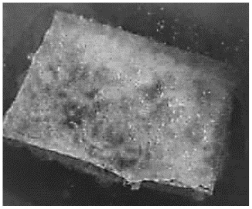 Adhesive for casting and preparation method of adhesive