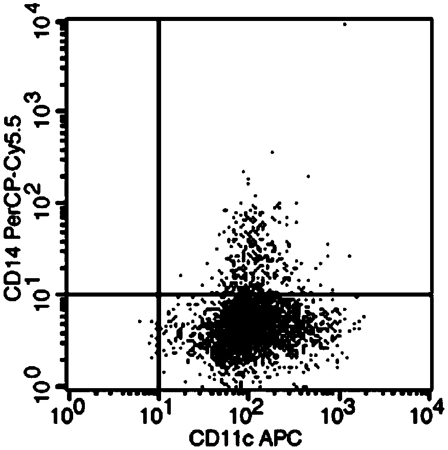 Method for culturing peripheral blood DC cells loaded with tumor cell exosome