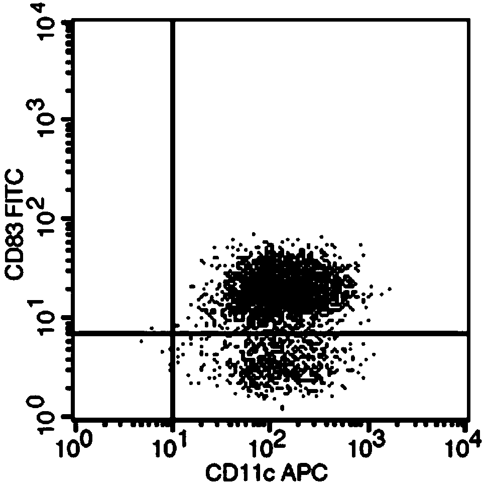 Method for culturing peripheral blood DC cells loaded with tumor cell exosome