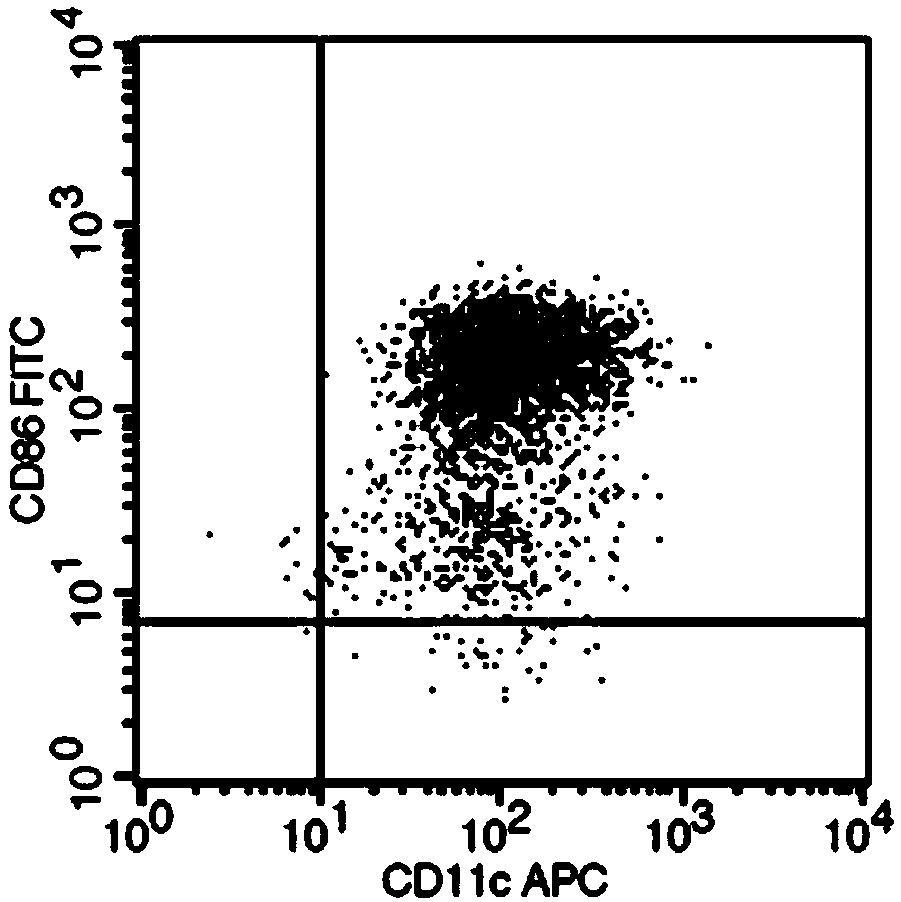 Method for culturing peripheral blood DC cells loaded with tumor cell exosome