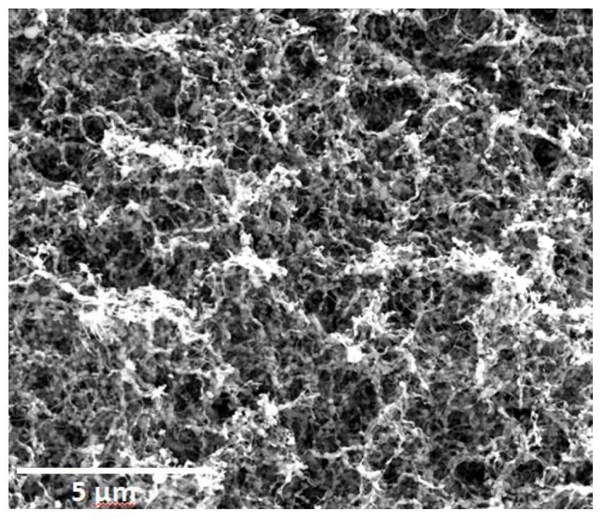 A three-dimensional silicon-carbon composite negative electrode material and its preparation method and application in lithium-ion batteries