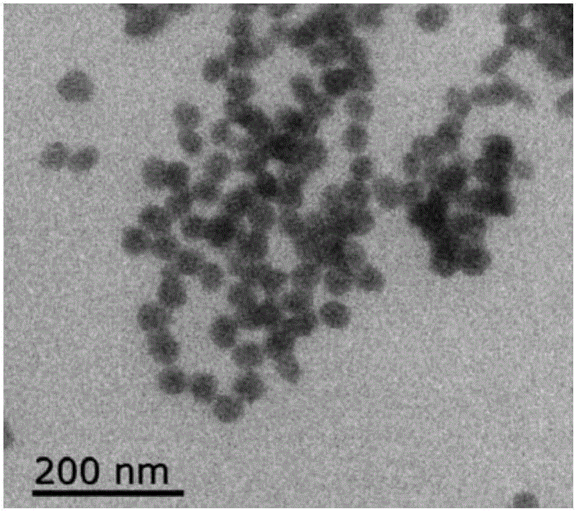 Surface-enhanced Raman substrate material and preparation method thereof