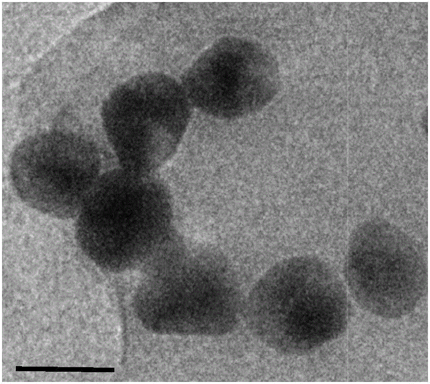 Surface-enhanced Raman substrate material and preparation method thereof