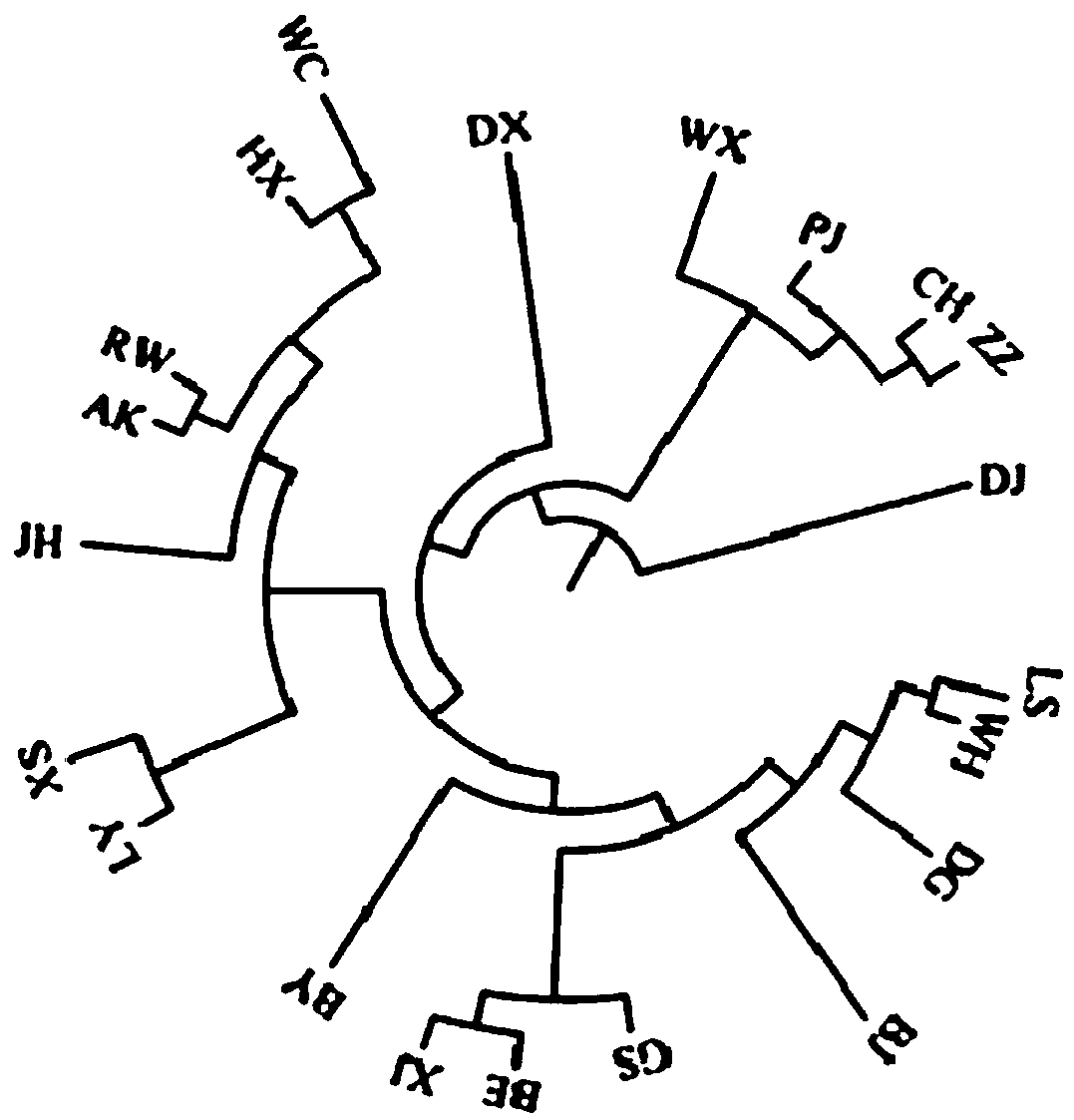 Method for screening SNP molecular markers of Henan chicken fighting genome and an application thereof