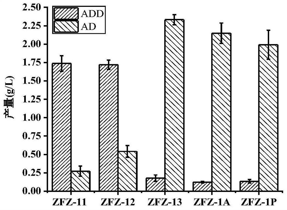 Method for producing androstadienedione by degrading phytosterol through microorganisms