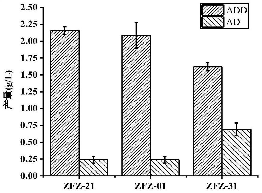 Method for producing androstadienedione by degrading phytosterol through microorganisms