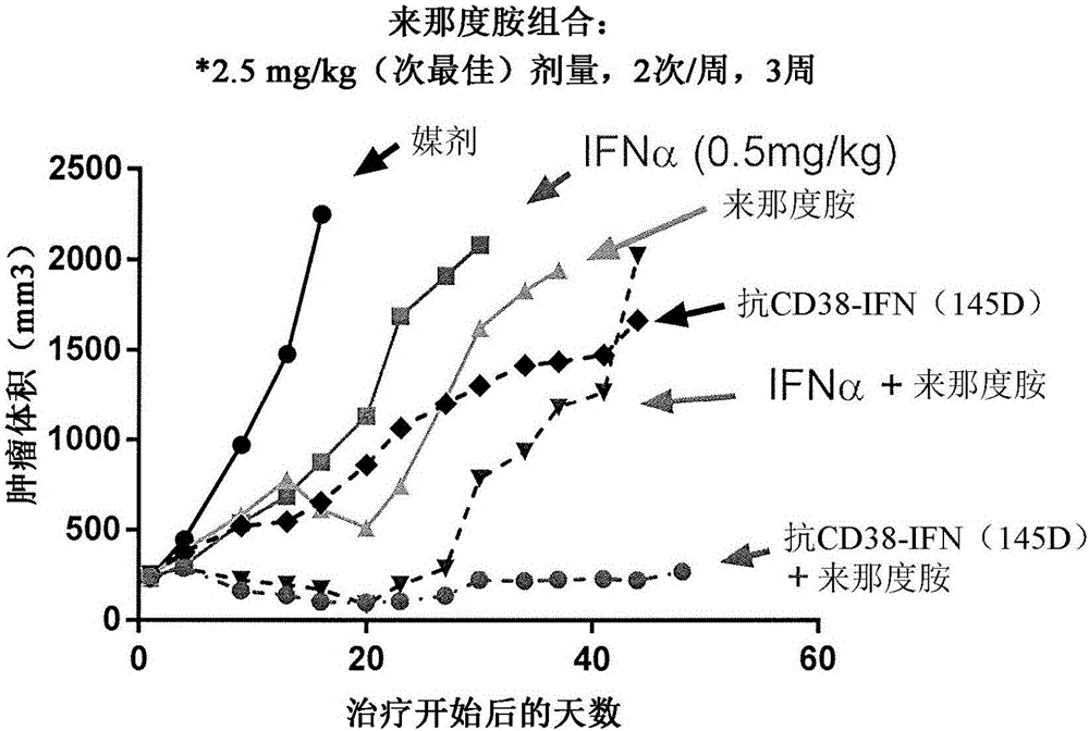 Combination of lenalidomide or pomalidomide and CD38 antibody-attenuated interferon-alpha constructs, and the use thereof