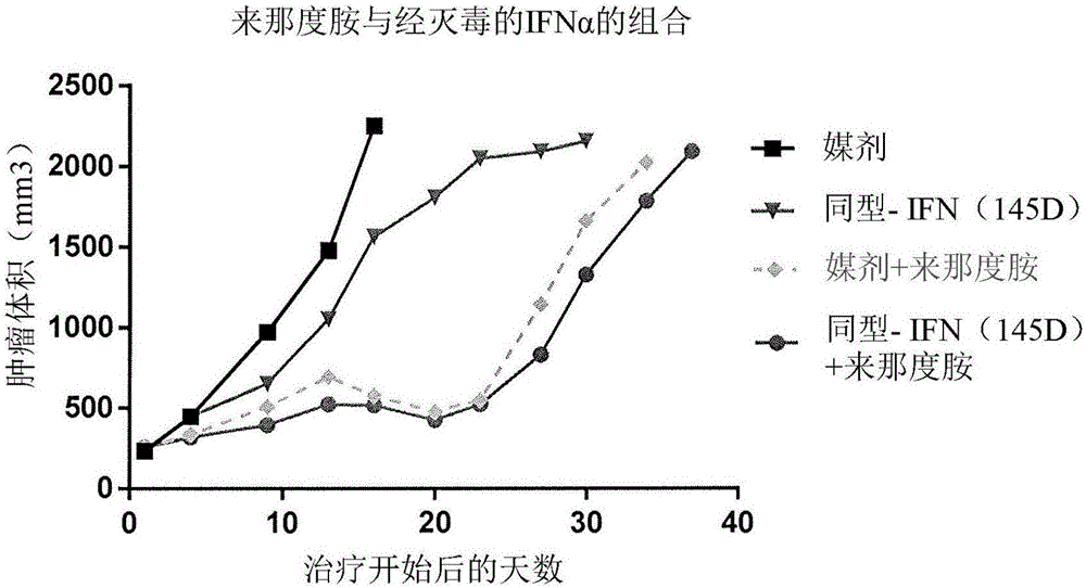 Combination of lenalidomide or pomalidomide and CD38 antibody-attenuated interferon-alpha constructs, and the use thereof
