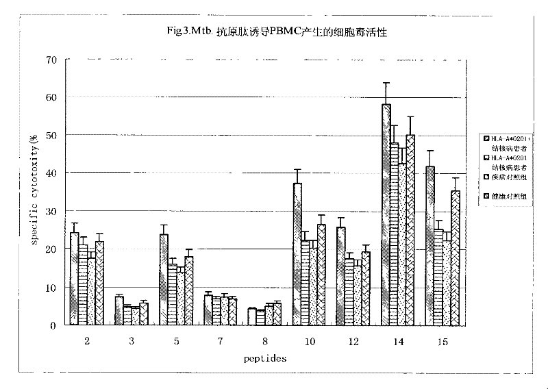 Antigen epitope for exciting protective immunity against tubercle bacillus of human body and uses thereof