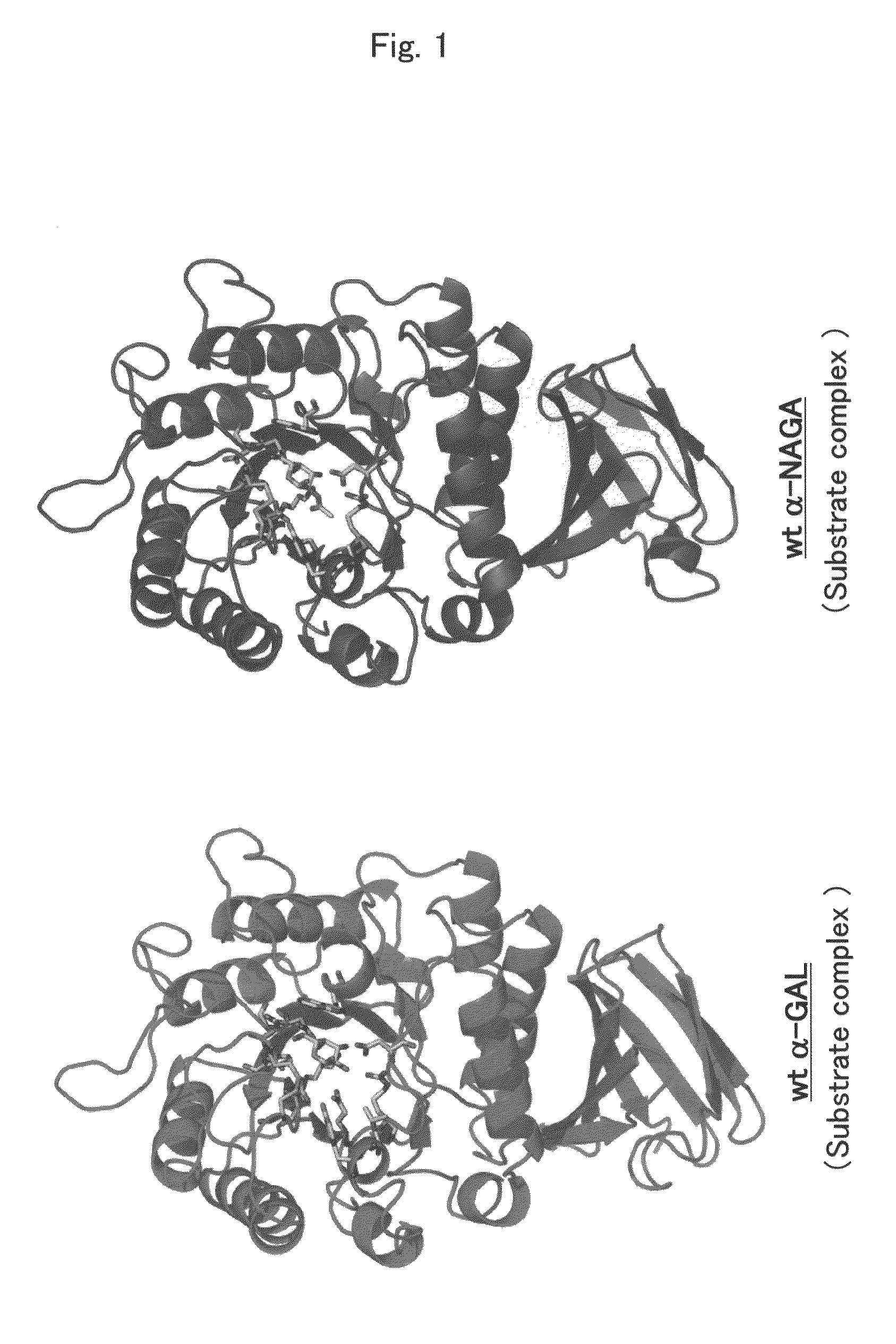 Proteins having acquired A-galactosidase activity