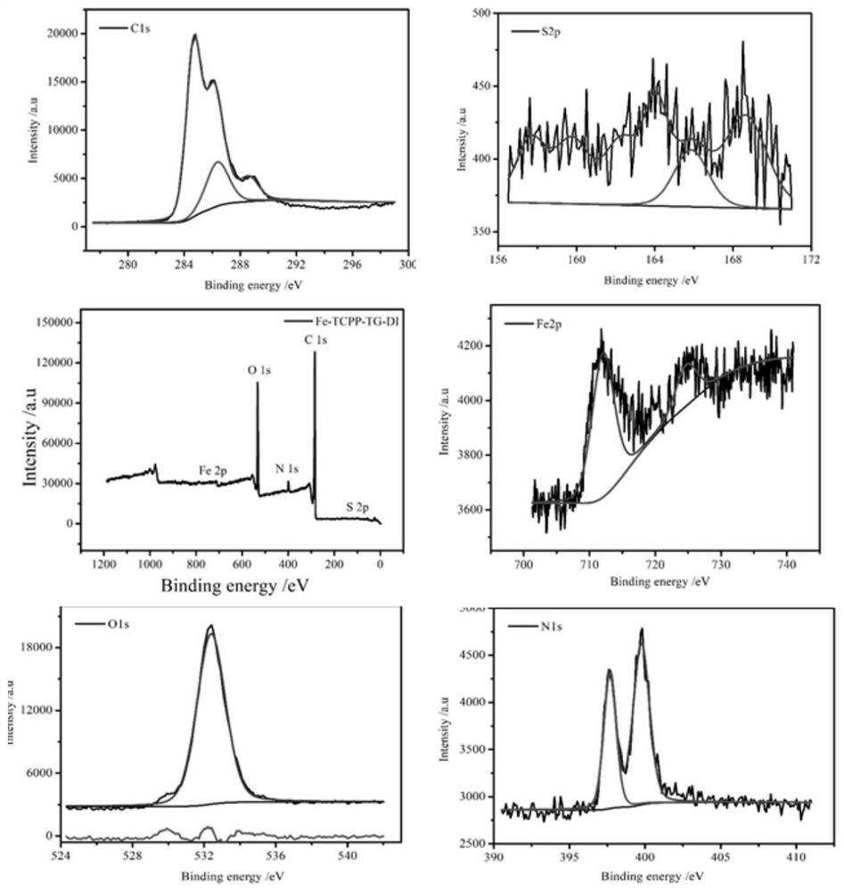 Iron-based nano catalytic treatment reagent and preparation method and application thereof