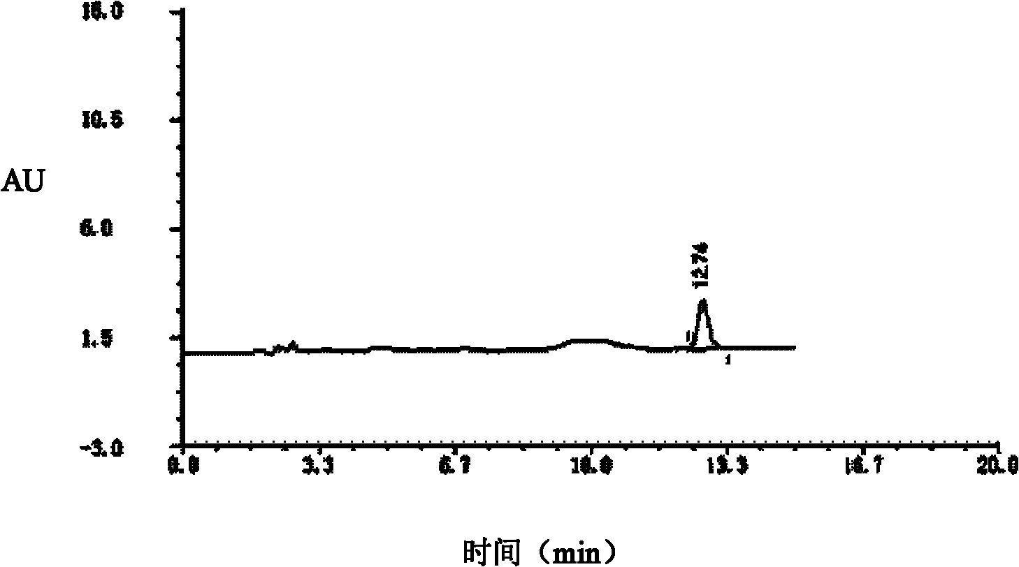 Ochratoxin A hybridoma cell strain, antibody, compound immunoadsorbent, immunoaffinity column, kit and applications of immunoadsorbent, immunoaffinity column and kit