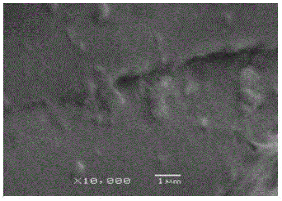 A polyester with composite functions of moisture absorption, flame retardancy and UV resistance