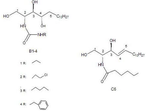 Ceramide analog b and its preparation method and application