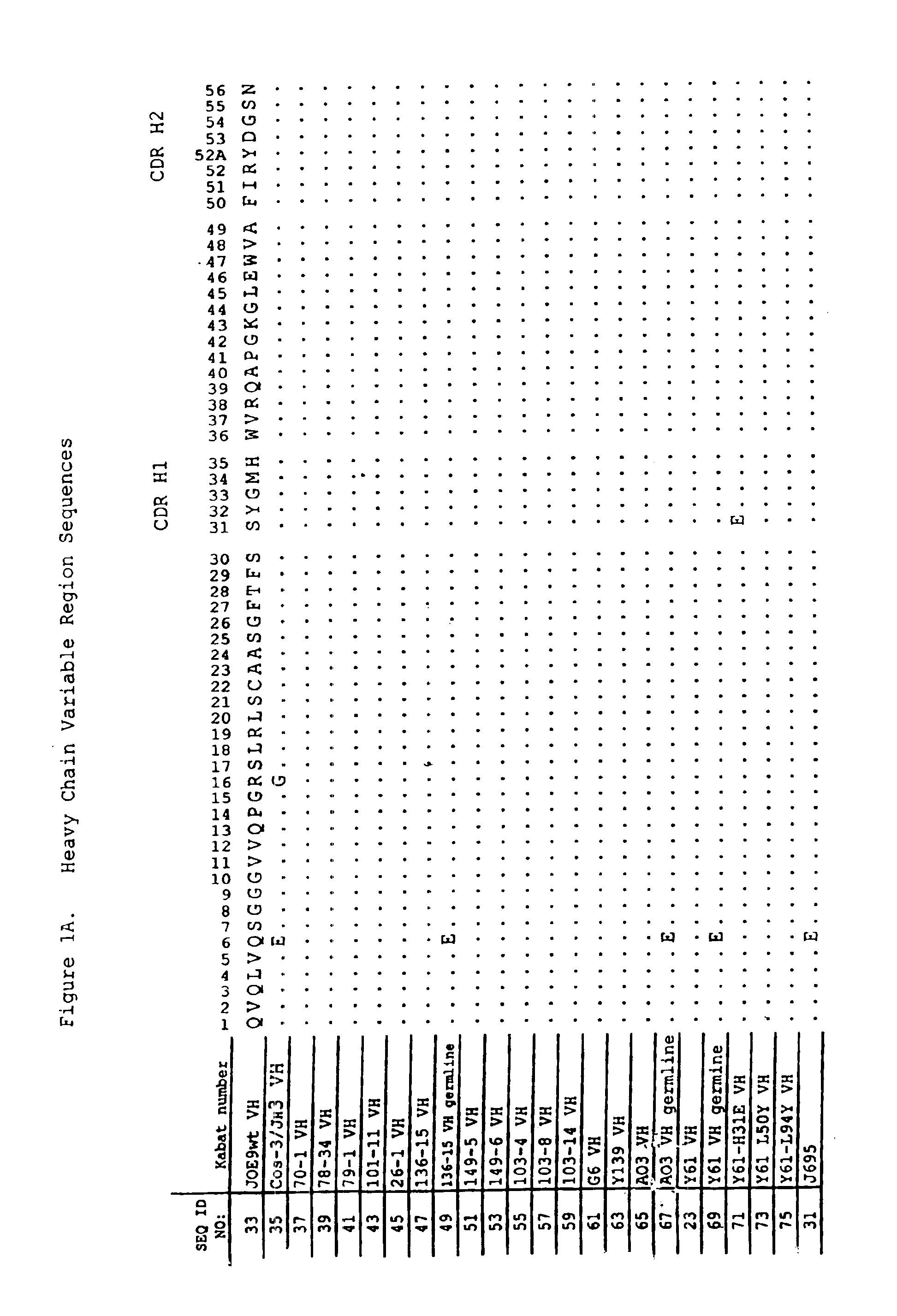 Human antibodies that bind human IL-12 and methods for producing