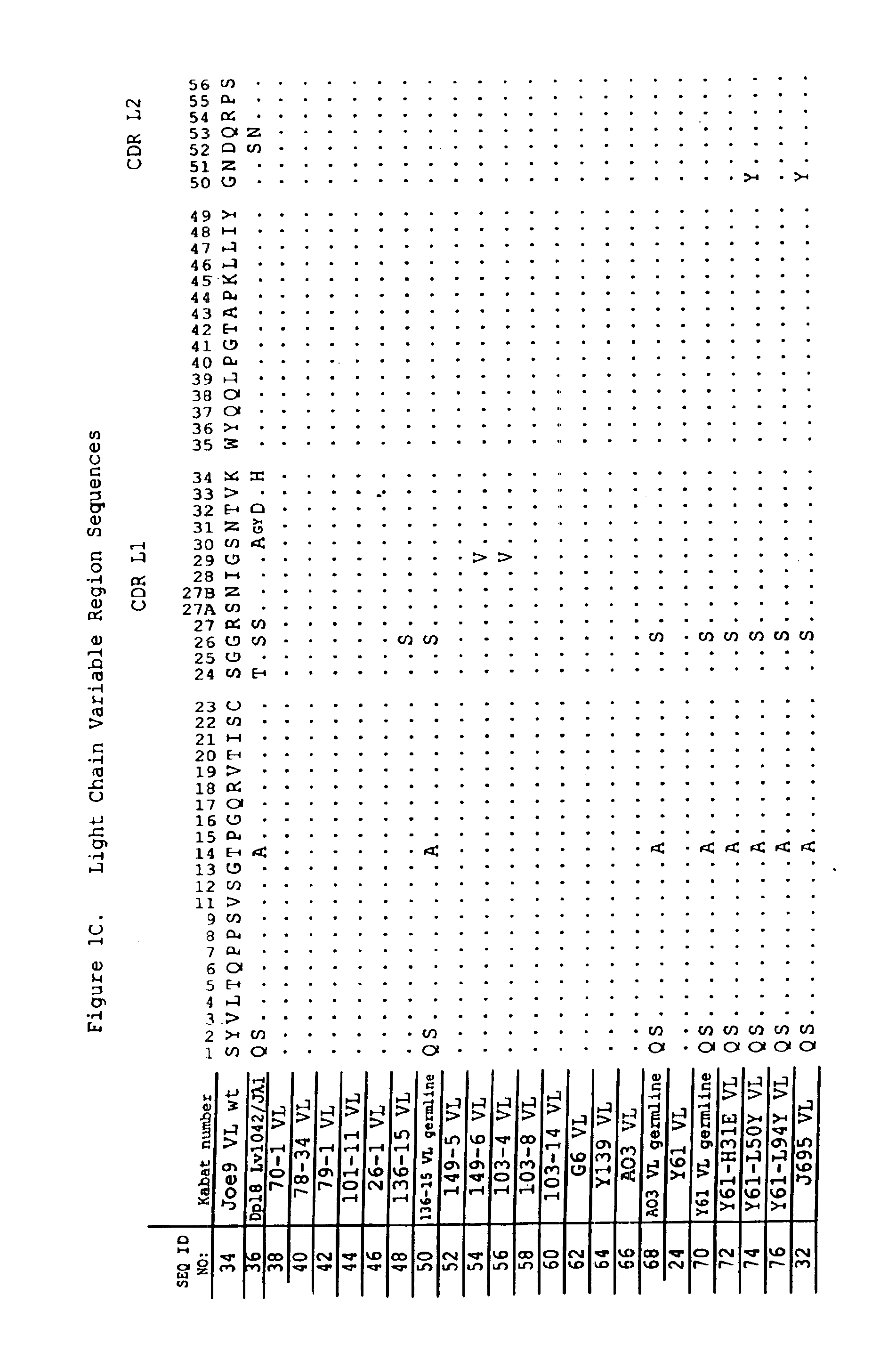 Human antibodies that bind human IL-12 and methods for producing