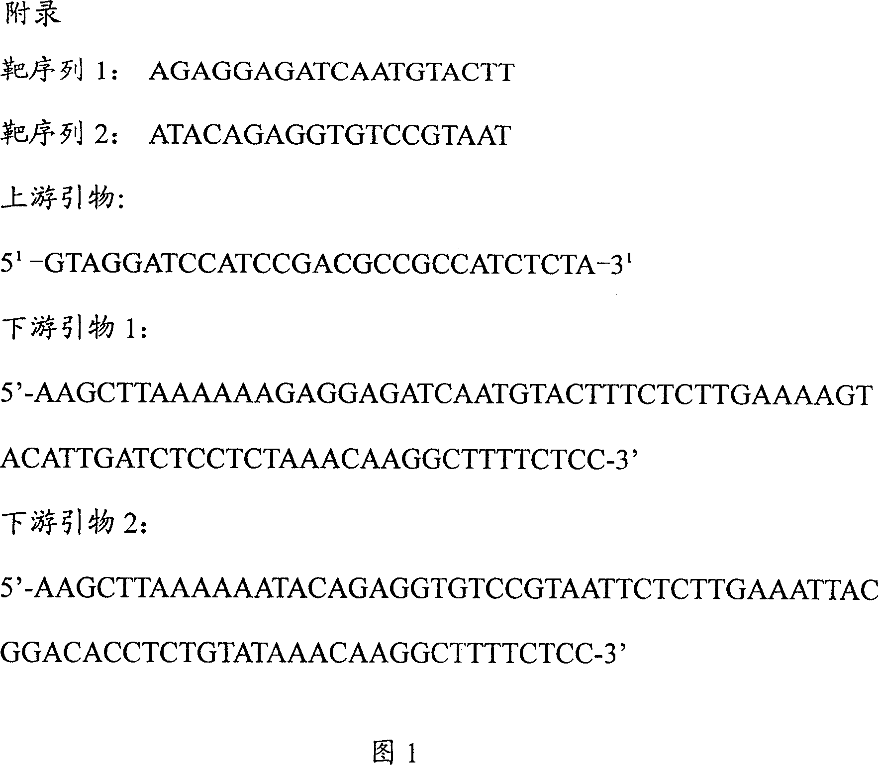 Method for constructing interference plasmid of human fibrinogen hf12 shRNA, and pharmic usage