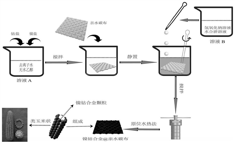 Preparation method of cobalt-nickel alloy particle hydrophilic carbon cloth composite material with corn cob-like heterostructure