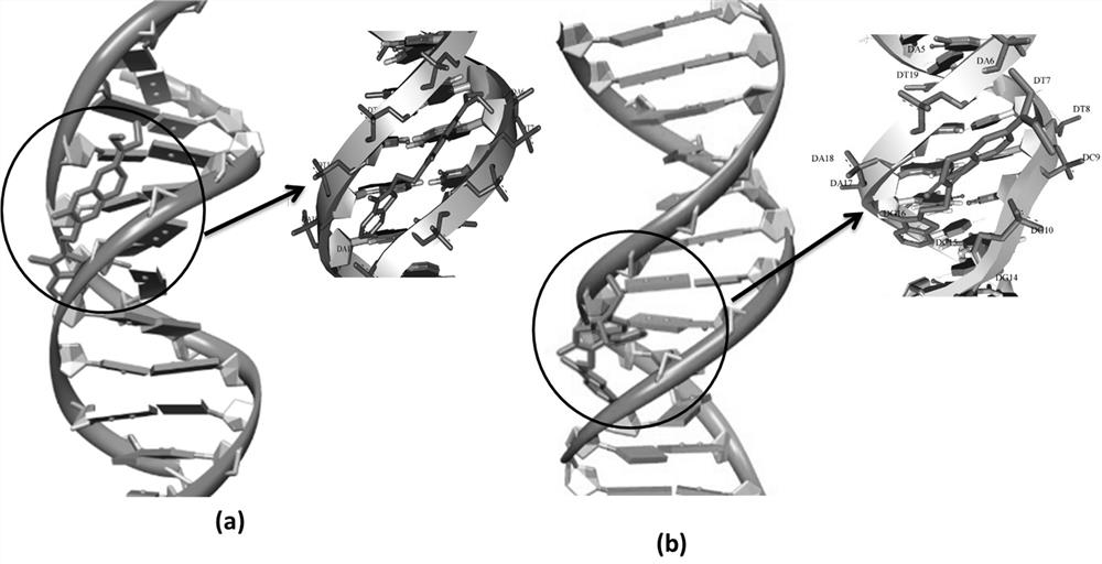 A kind of coumarin derivative that specifically recognizes and distinguishes dna and rna and its preparation method and application