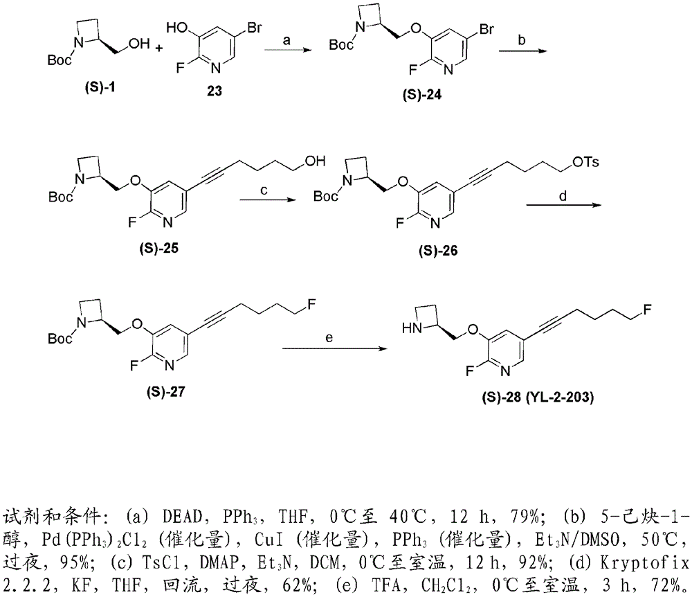 2-halo-5-alkynyl-pyridyl nicotinic ligands