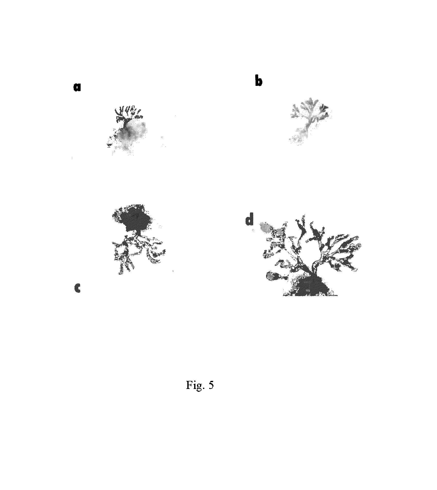 Methods for therapeutic treatment of benign prostatic hypertrophy (BPH)