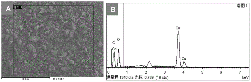 A stabilizer for heavy metal compound polluted soil and preparation method thereof