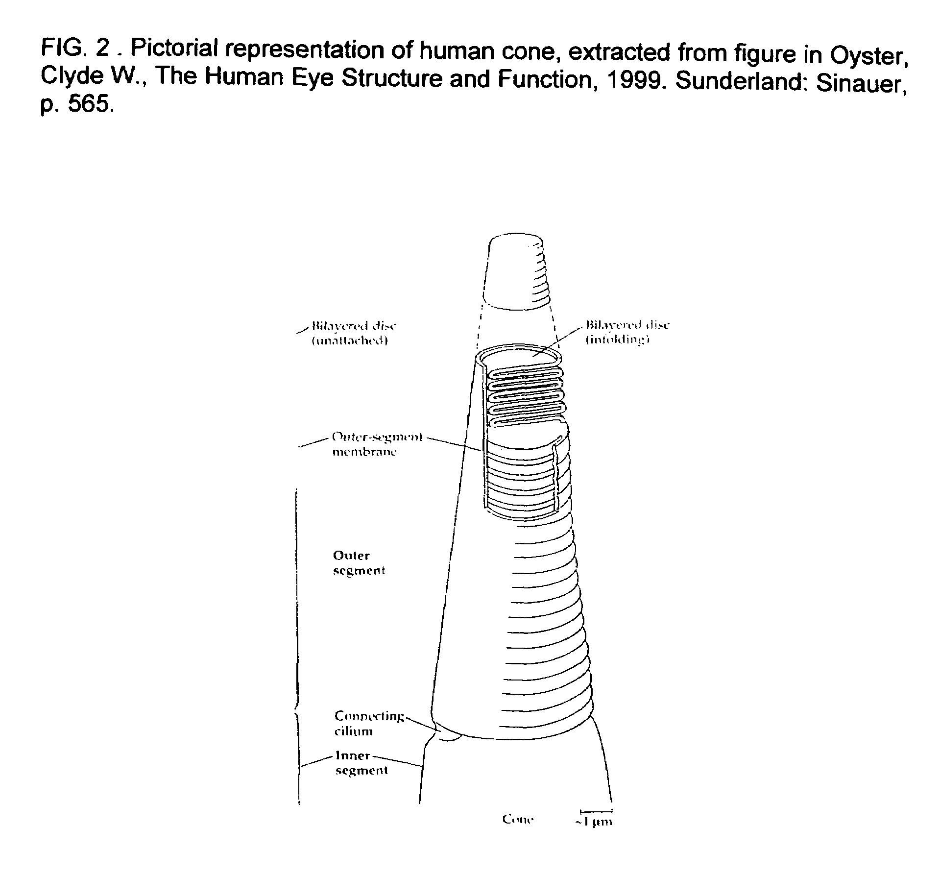 Electromagnetic spectral-based imaging devices and methods
