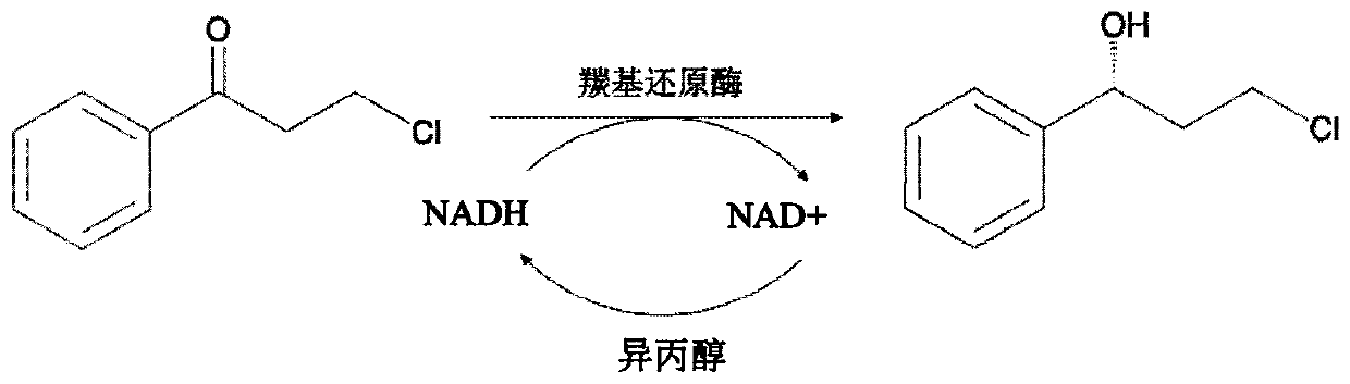Method for preparing dapoxetine intermediate by using carbonyl reductase