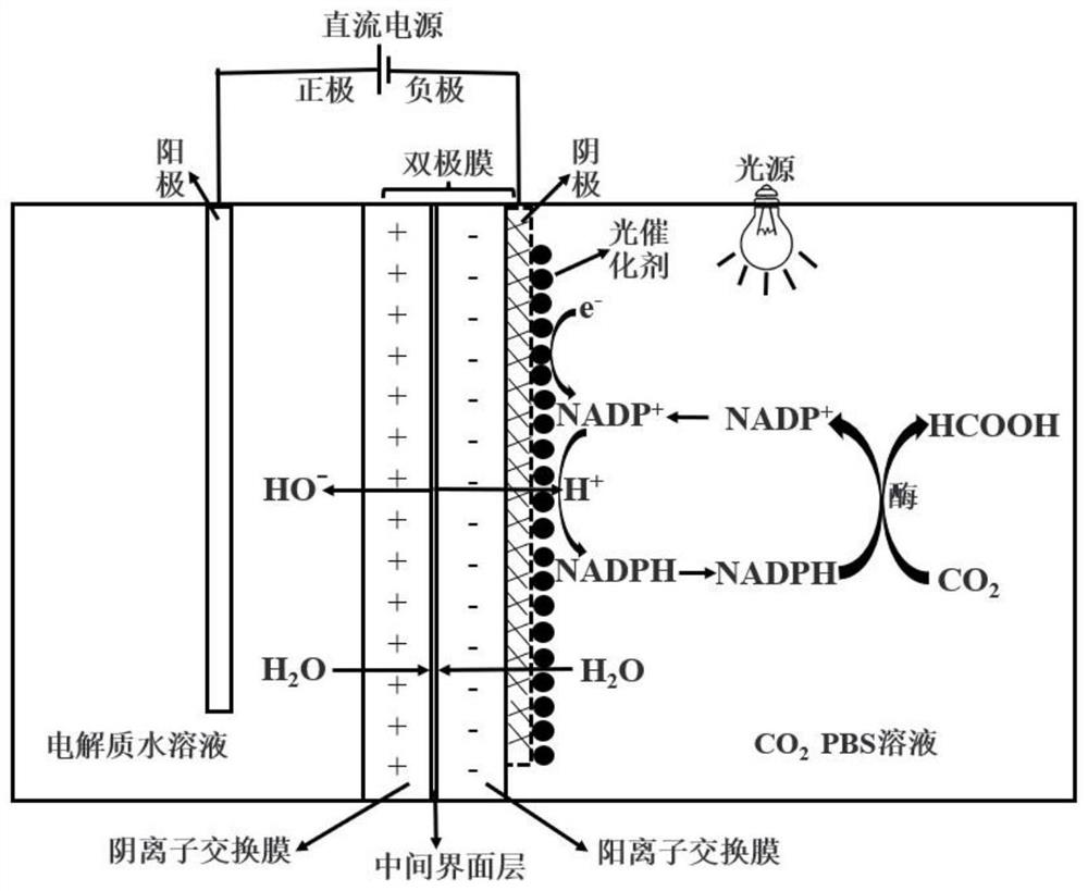 CO2 catalytic reduction device and application thereof