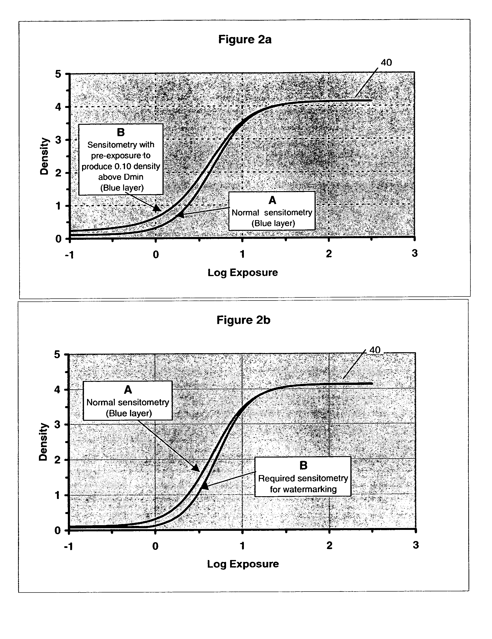 Method and apparatus for exposing a latent watermark on film