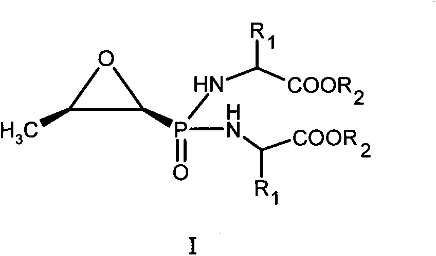 New fosfomycin derivatives and medicinal use thereof